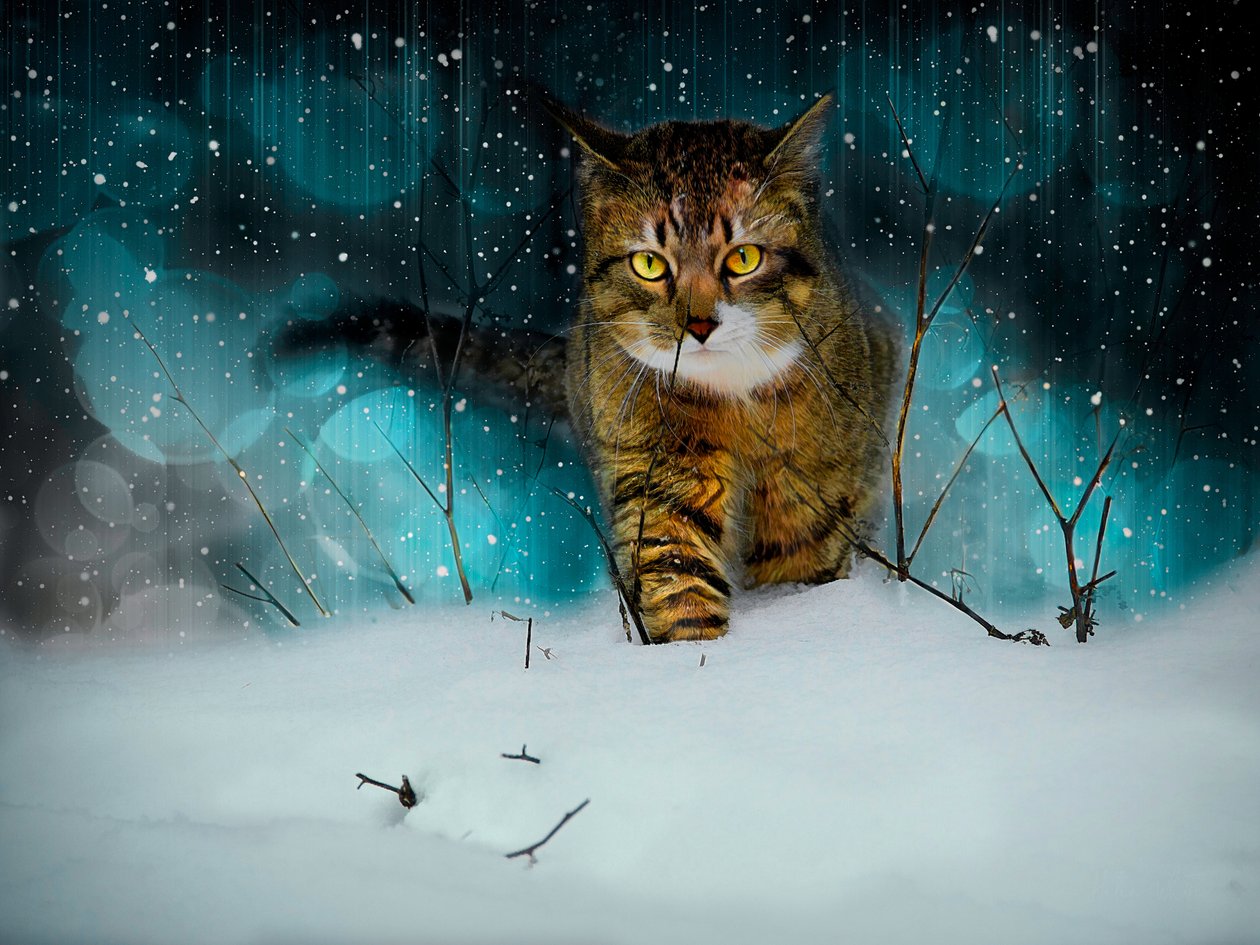 Making Tracks, 2019 (kompositmålning) av Helen White