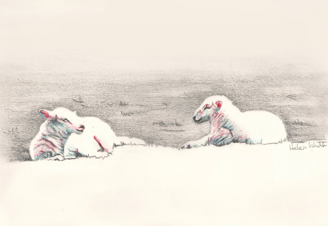 Tupplur, 2016, (pennteckning) av Helen White