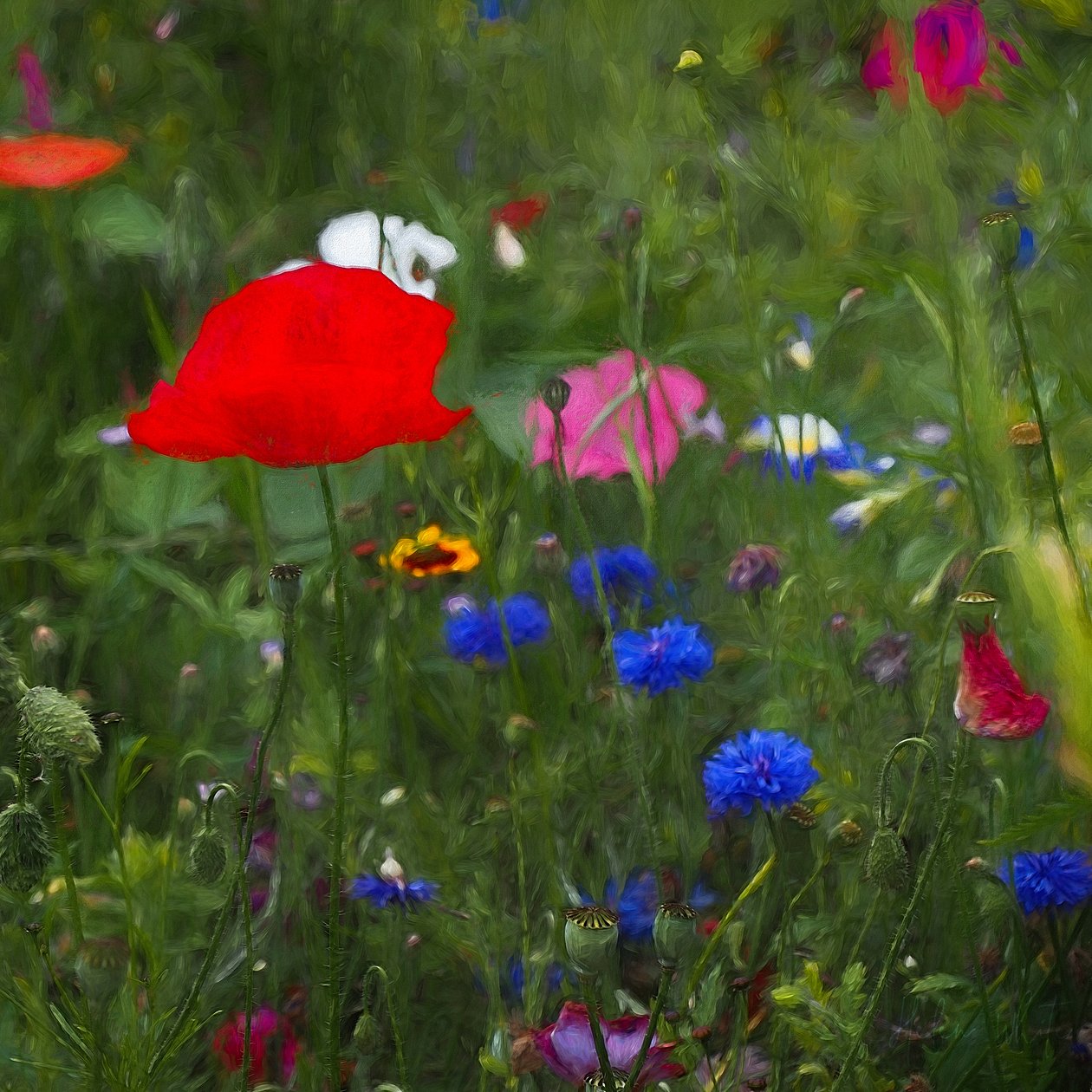 Naturens färglåda, 2019 av Helen White
