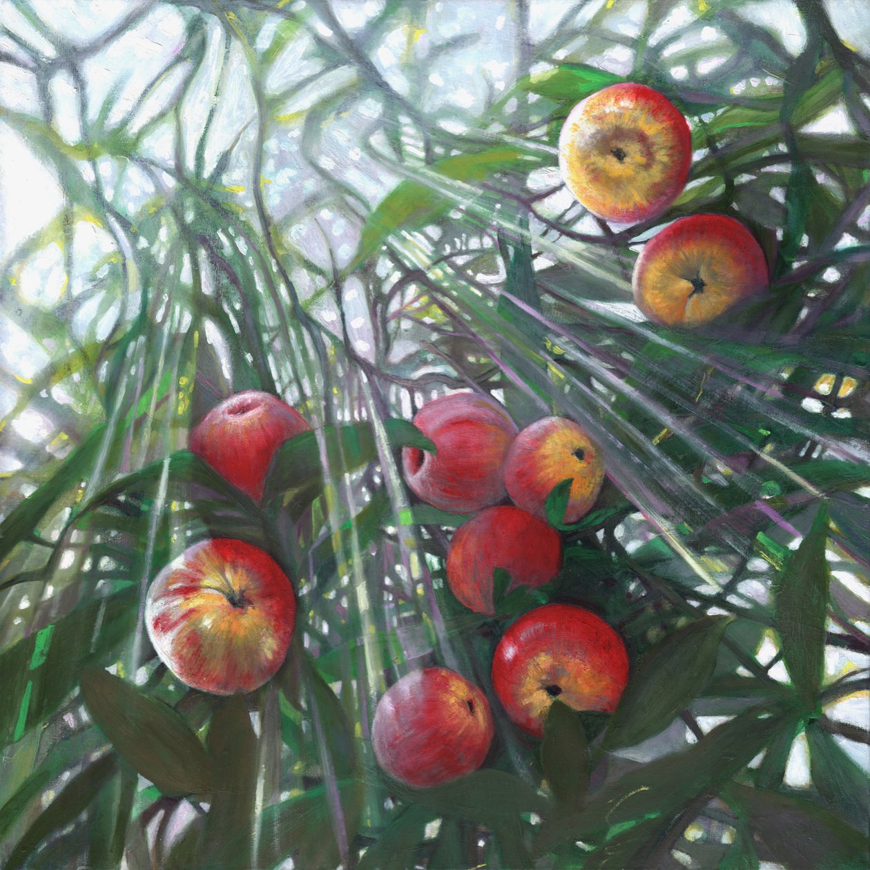 Nytt ljus på Eden, 2016, av Helen White