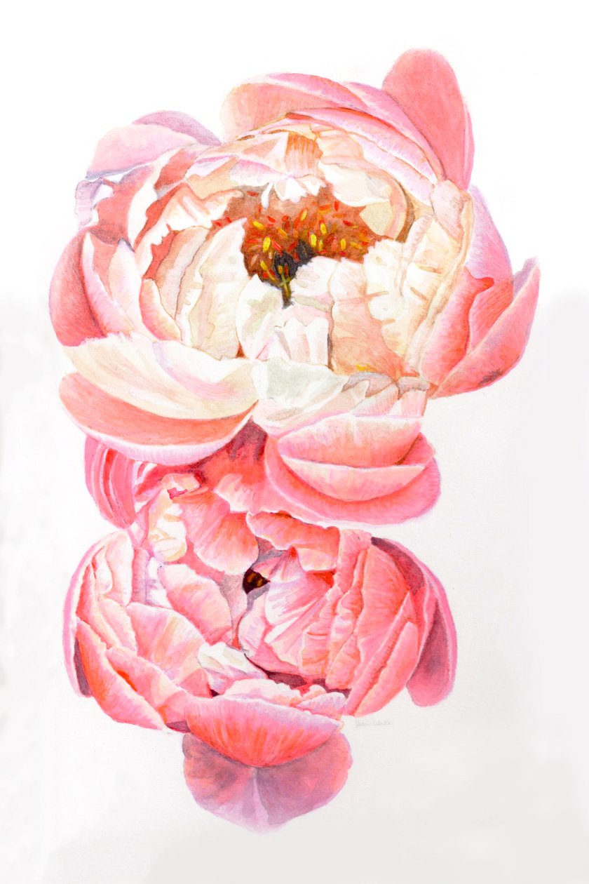  av Helen White