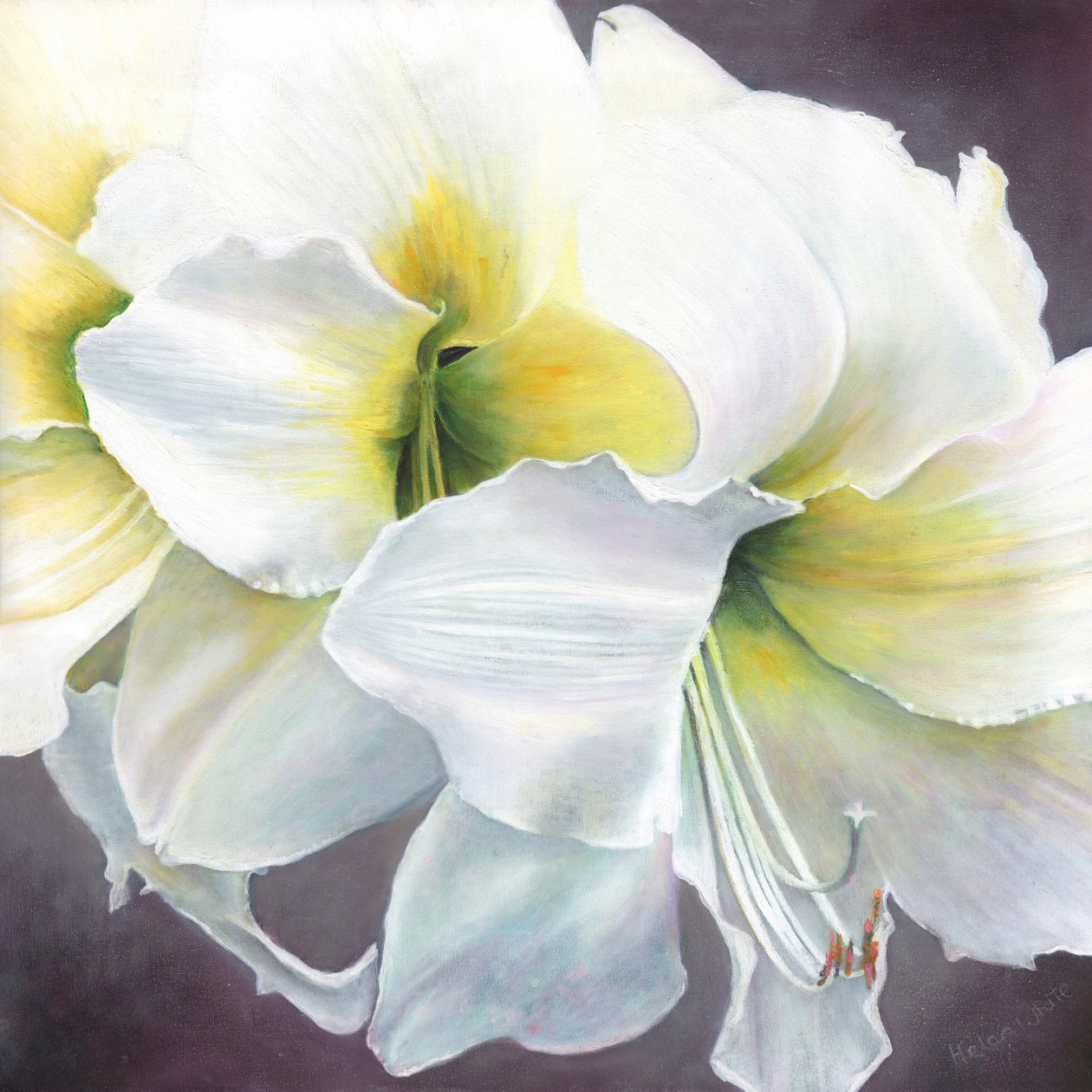 Ren potential, 2016, av Helen White