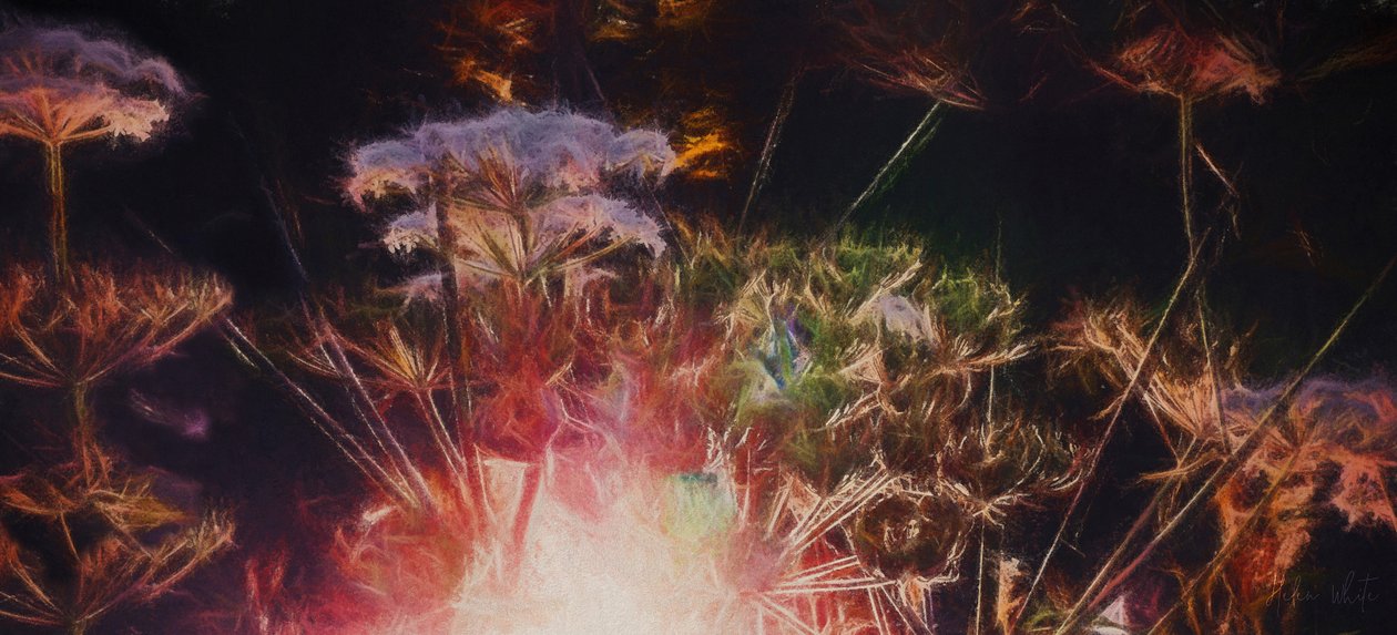 Radiant Hedgerow, 2018, swed av Helen White
