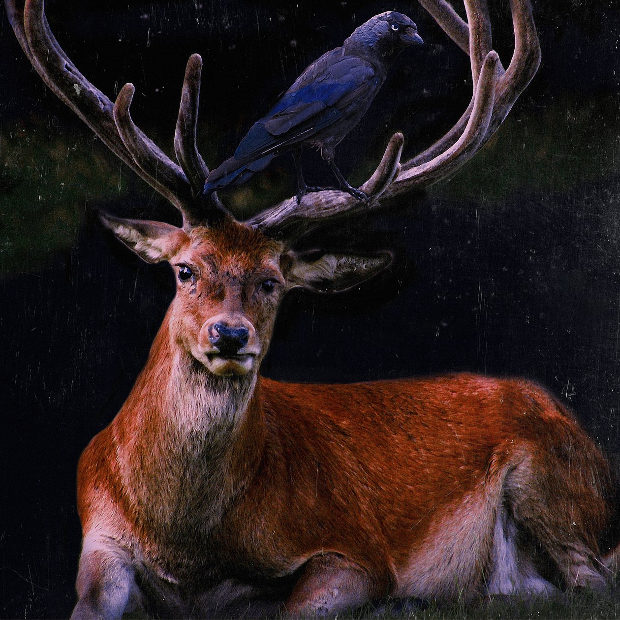 Själsfränder, 2018, av Helen White