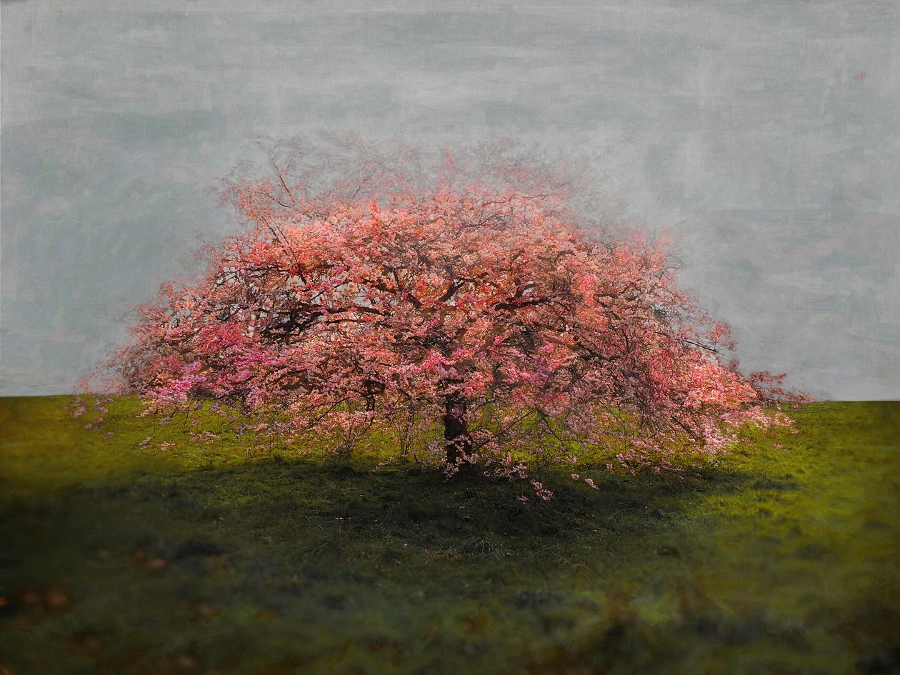 Fristående skönhet, 2019 av Helen White