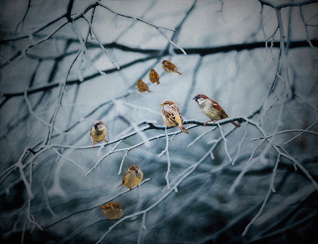 Myllrar av liv, 2019 av Helen White