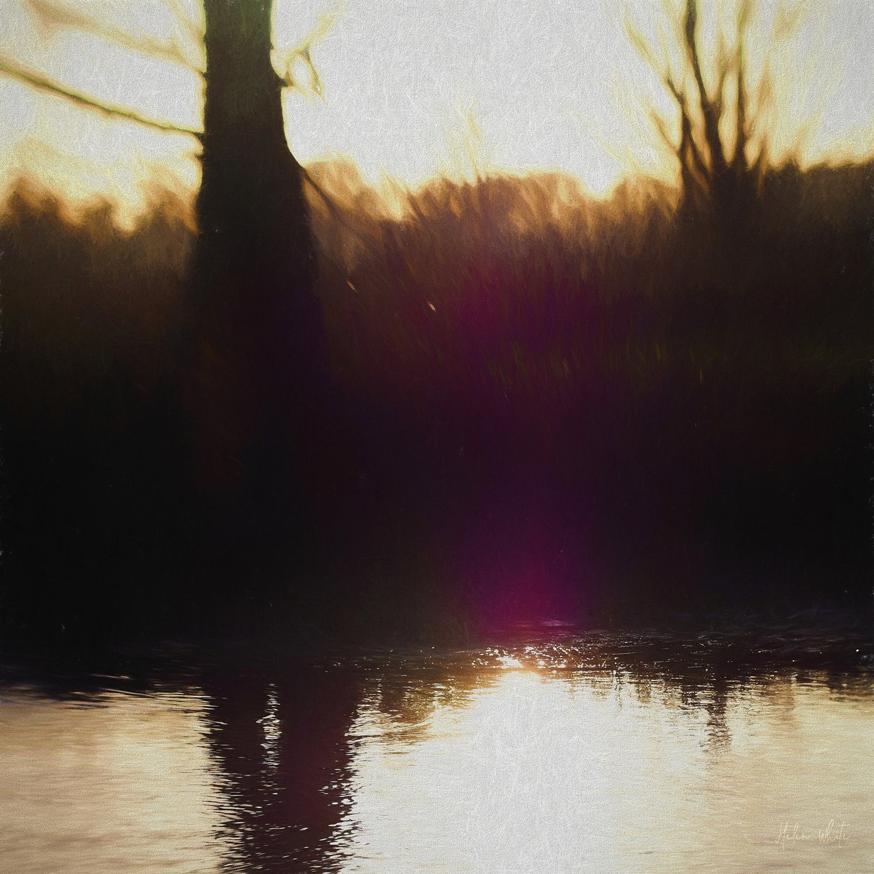 Violet Haze, 2018, swed av Helen White