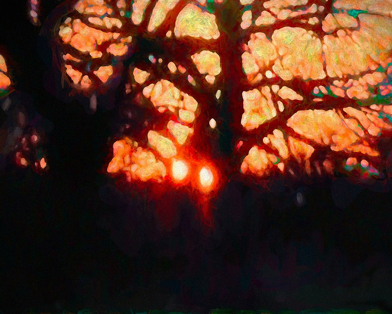 Vinterljus, 2019 av Helen White