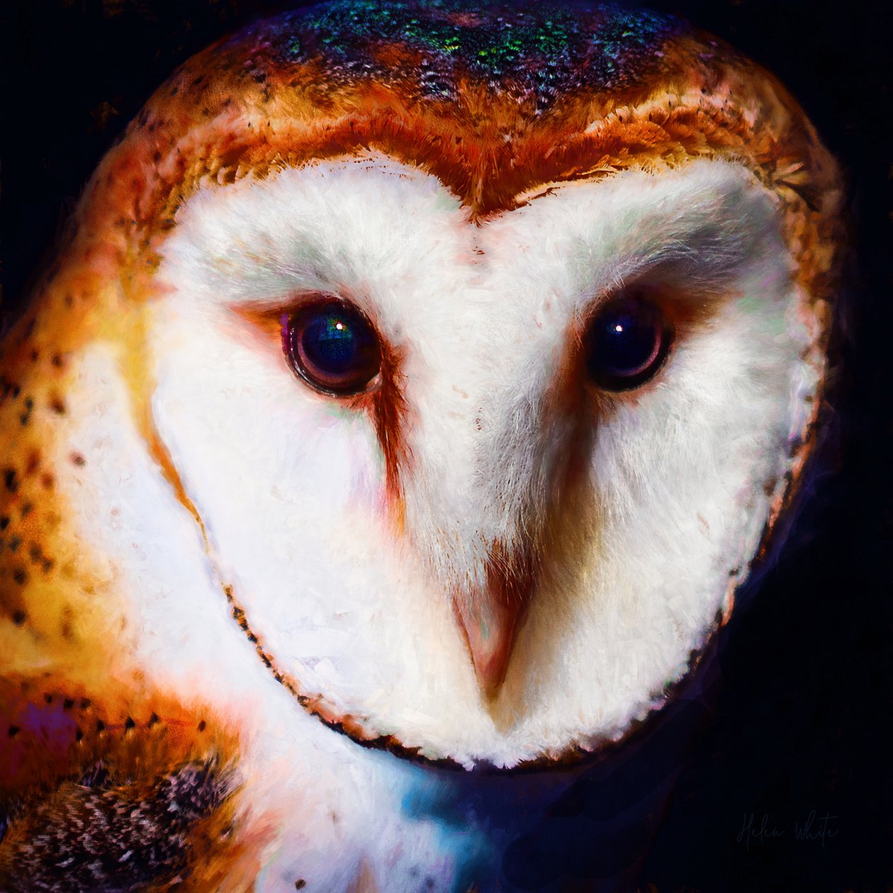 Wisdom in the Dark, 2019 (blandade media) av Helen White
