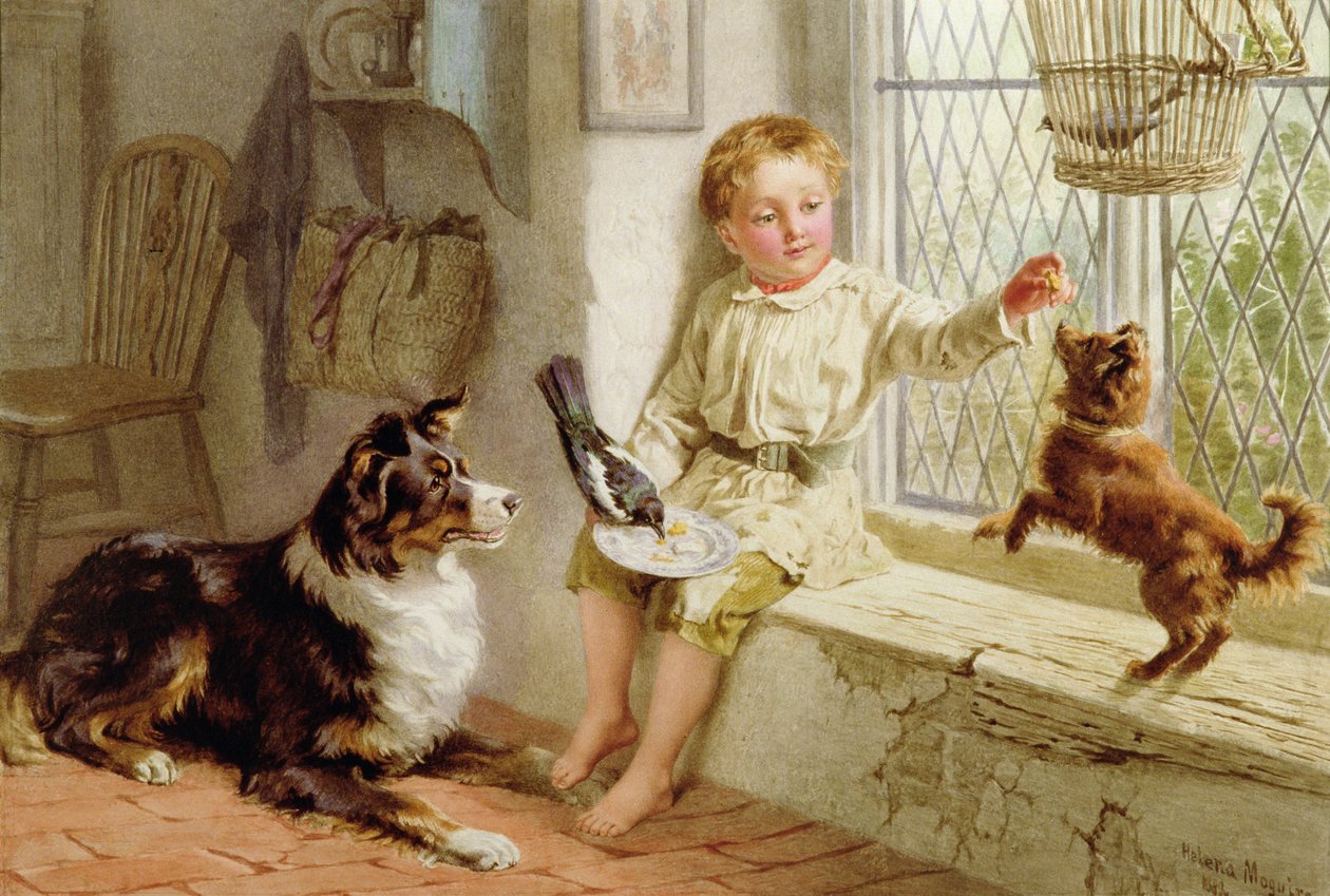 Vänner av Helena J. Maguire