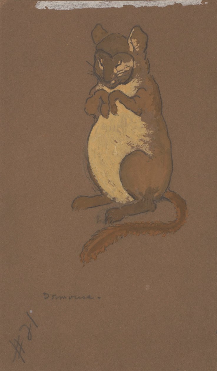 Dormouse (kostymdesign för Alice i Underlandet, 1915) av Henderson, William Penhallow