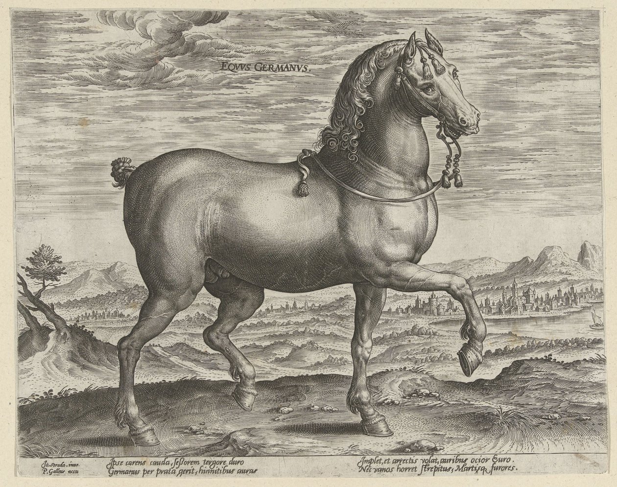 swedish av Hendrick Goltzius (possibly)