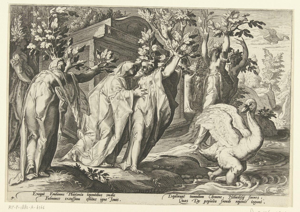 Phaëthons systrar förvandlas till poppel och hans vän till en svan Ovidius metamorfoser (serietitel) av Hendrick Goltzius (workshop of)