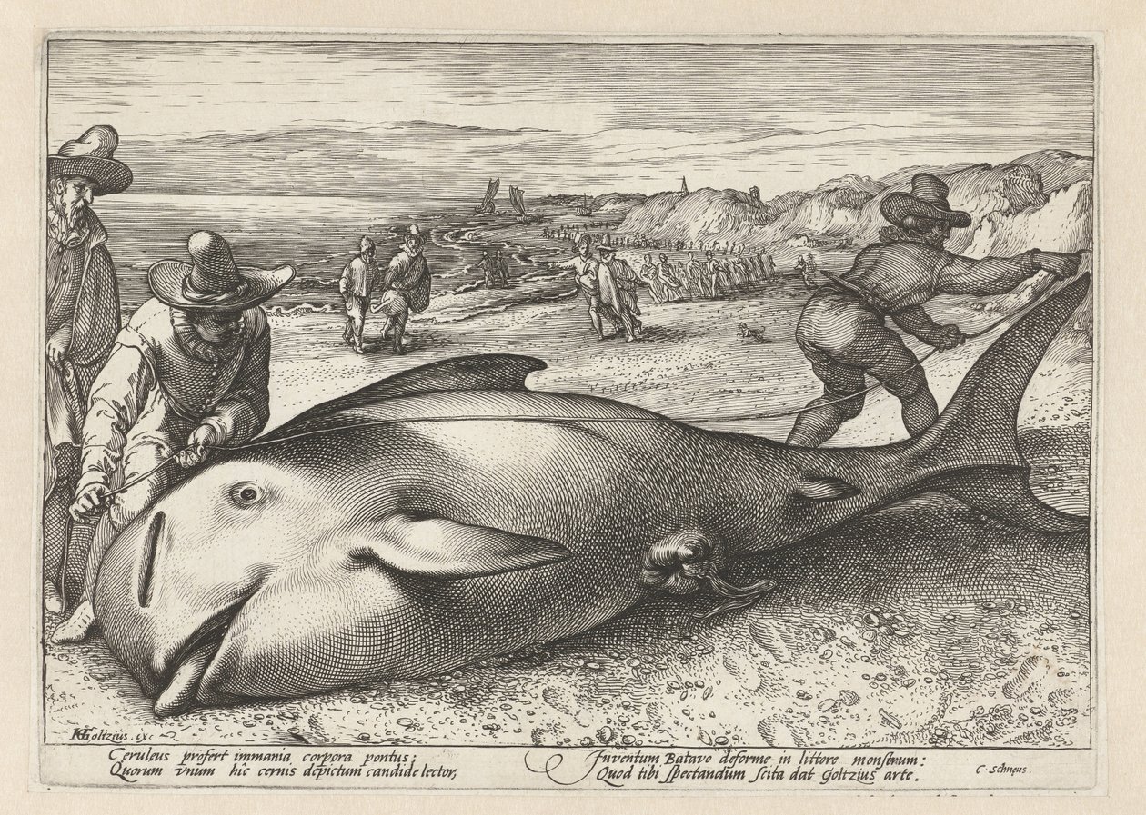 Två män mäter en strandad val av Hendrick Goltzius (workshop of)