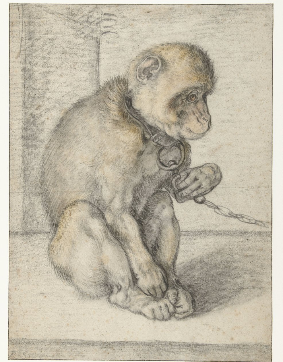 En sittande apa på en kedja Apa på en kedja, sittande av Hendrick Goltzius