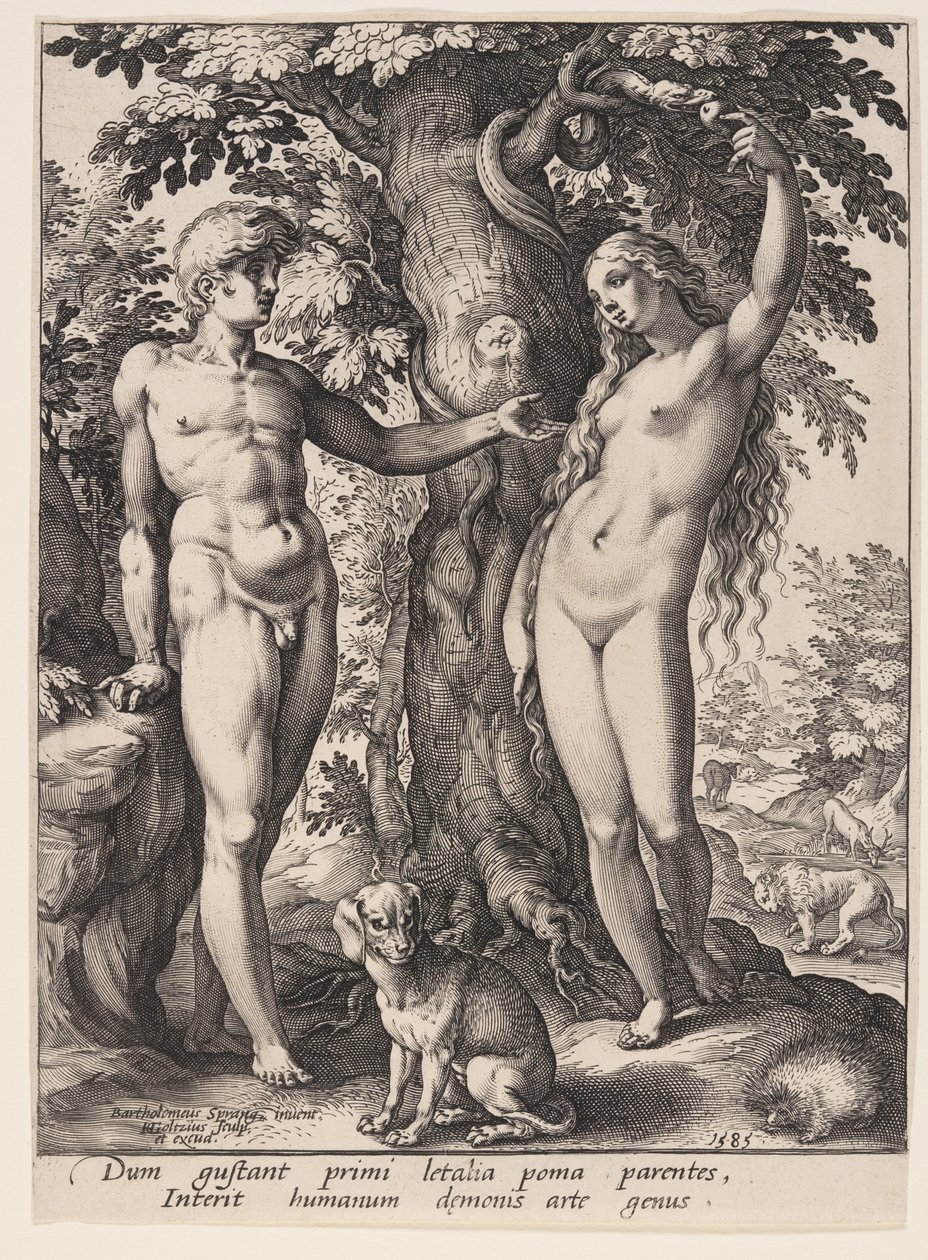Människans fall av Hendrick Goltzius