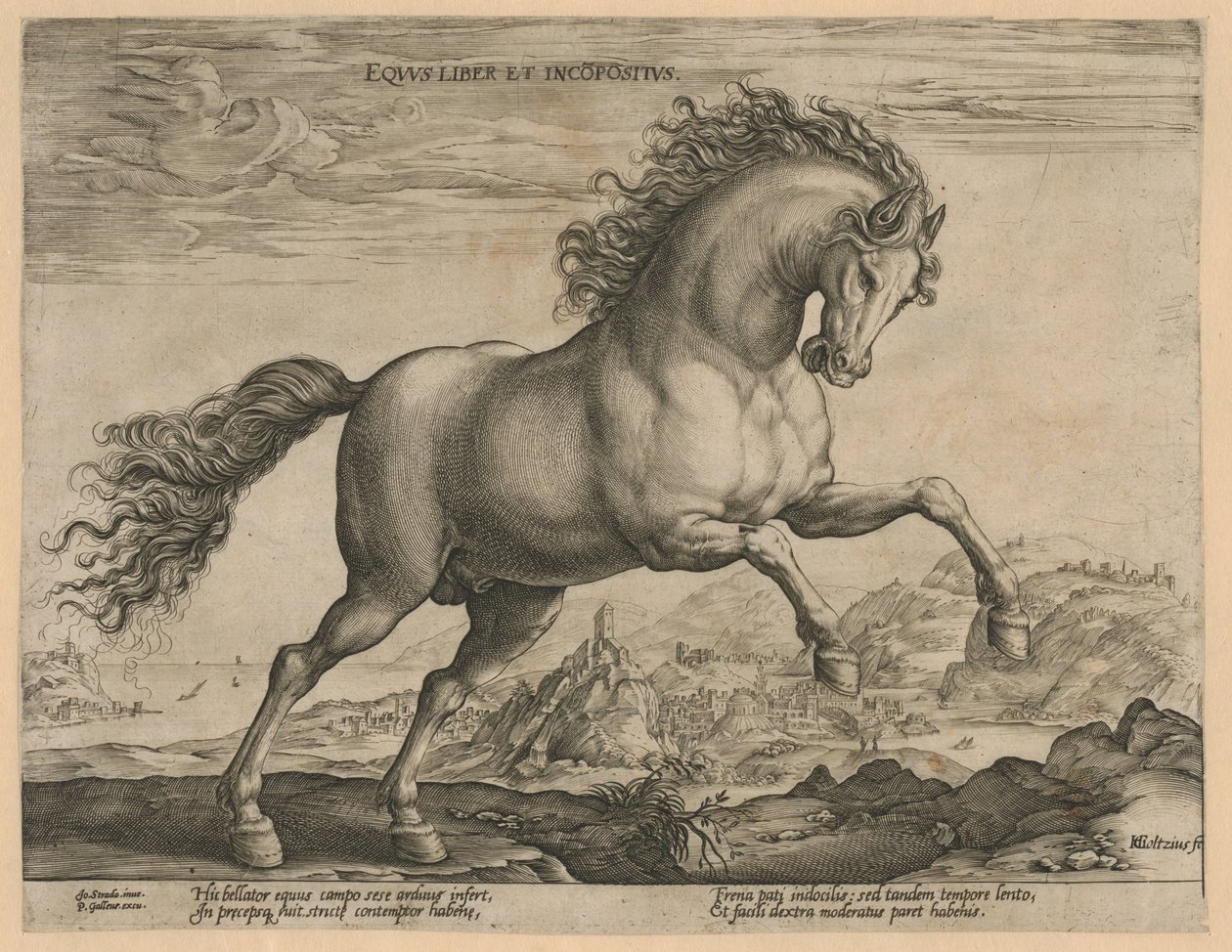 vildhäst Eqvvs liber et incompǒsitvs (titel på objekt) Hästaraser från Royal Stables of Don Juan of Austria (serietitel) av Hendrick Goltzius