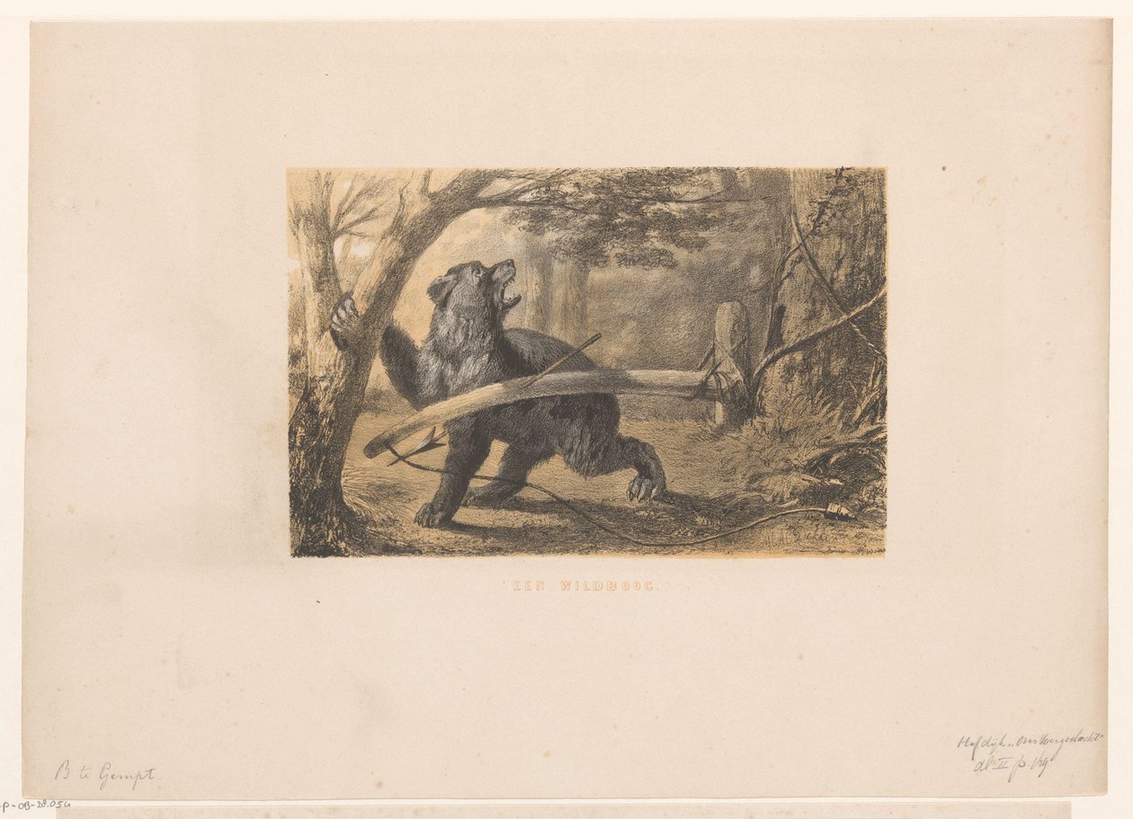 Björn i en fälla En spelbåge (titel på objekt) av Hendrik Adriaan Christiaan Dekker