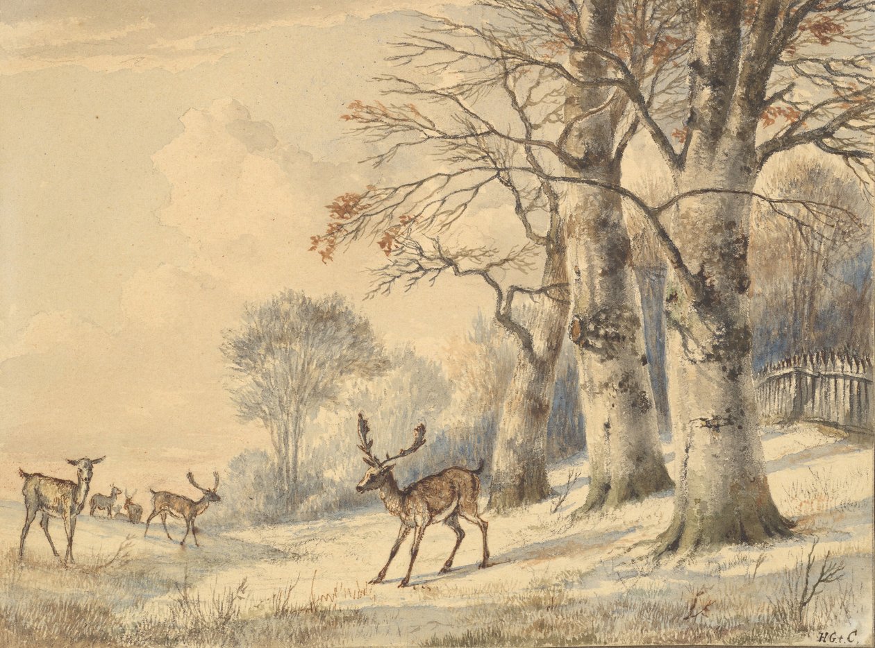 Rådjur under bokträd på sommaren 1853. av Hendrik Gerrit ten Cate