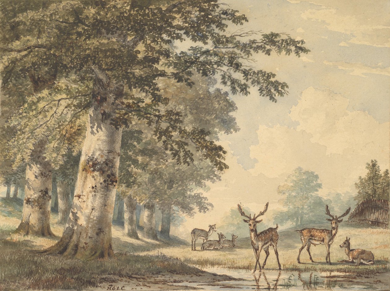 Rådjur under bokträd på vintern, 1853. av Hendrik Gerrit ten Cate