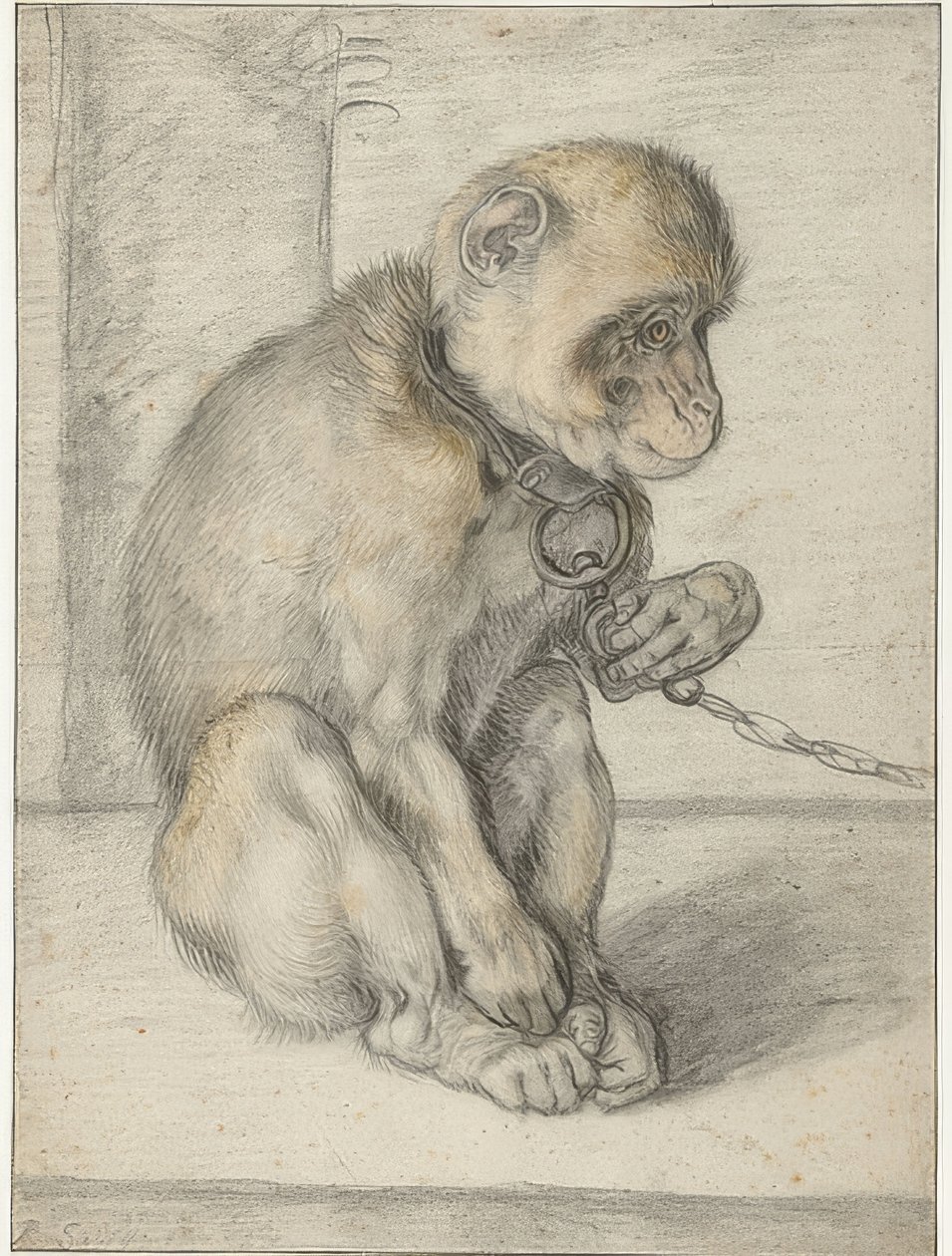 En sittande apa på en kedja. 1592-1602 av Hendrik Goltzius
