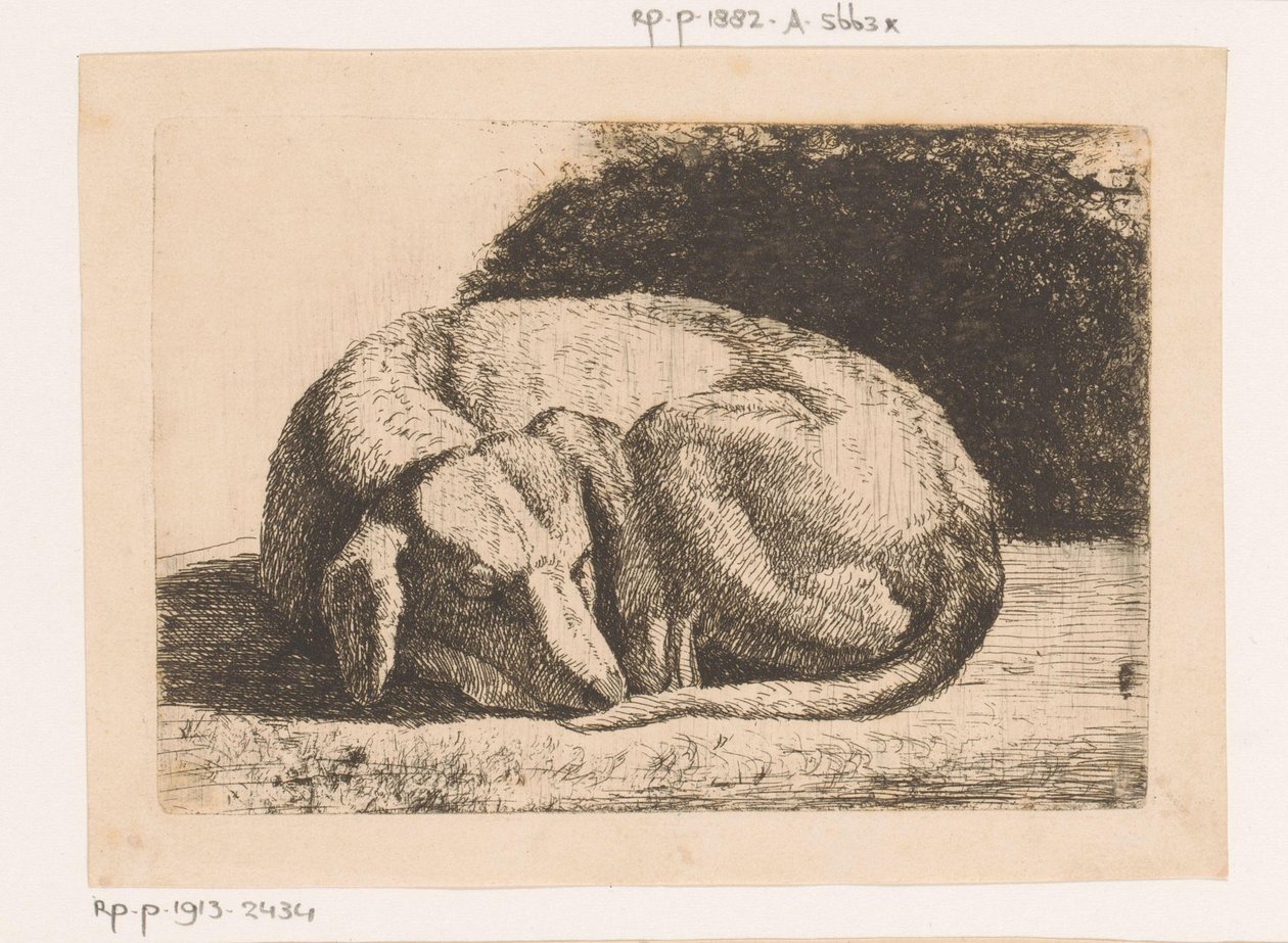 sovande hund av Hendrik Jozef Franciscus van der Poorten