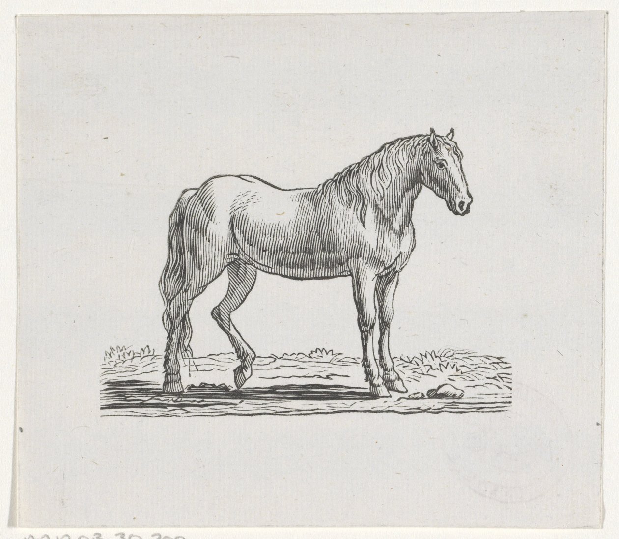 Häst av Hendrik Numan