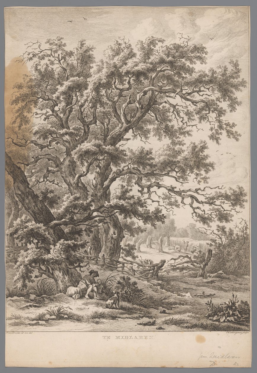 Landskap med man och hund under ett träd nära Midlaren Te Midlaren (titel på objekt) Nio ansikten i Drenthe (serietitel) IX Utsikter i och nära Drenthe-landskapet (serietitel) av Hendrik Schwegman