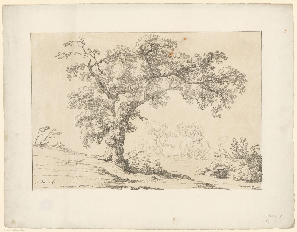 Träd i landskapet Tentamina Lithographica (serietitel) Italienska landskap (serietitel) av Hendrik Voogd