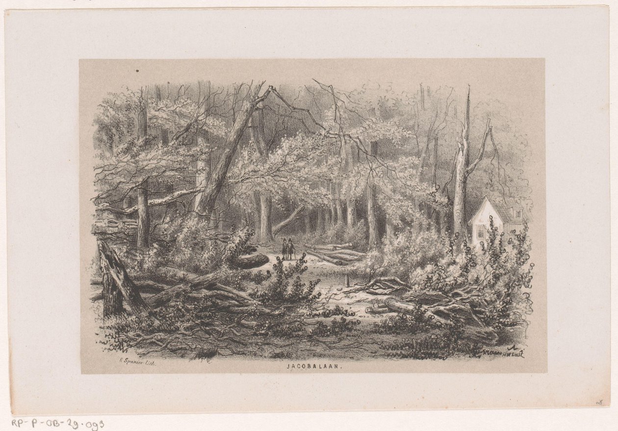 Fallna träd på Jacobalaan, efter stormen den 28 maj 1860 Jacobalaan (titel på objekt) Album med tio litograferade skisser, föreställande Toneelen van de Verwoessing, påverkad av stormen den 28 maj 1860 i 