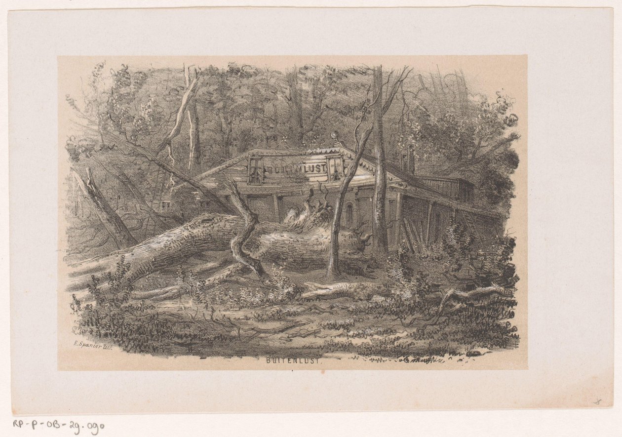 Träd som blåste ner vid Buitenlust, efter stormen den 28 maj 1860 Buitenlust (titel på objekt) Album med tio litograferade skisser, föreställande Tooneelen of the Destruction, agitated by the storm of the 28 maj, 1860 in the 