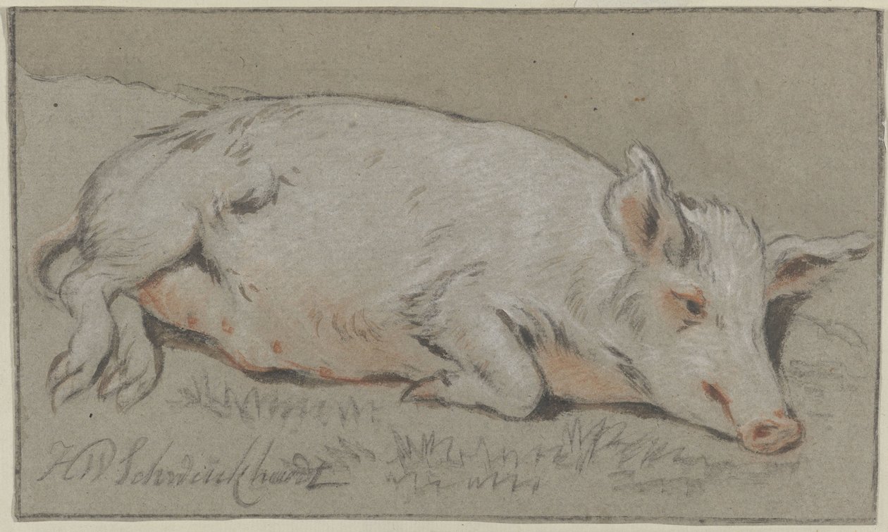 liggande gris av Hendrik Willem Schweickhardt (signed by artist)