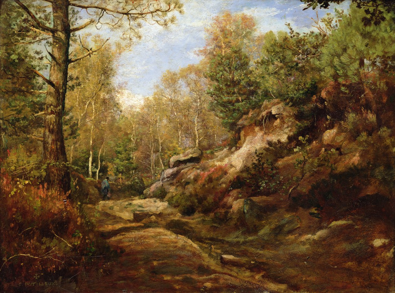 Tallar och björkträd eller, Skogen i Fontainebleau, c.1855-57 av Henri Joseph Constant Dutilleux