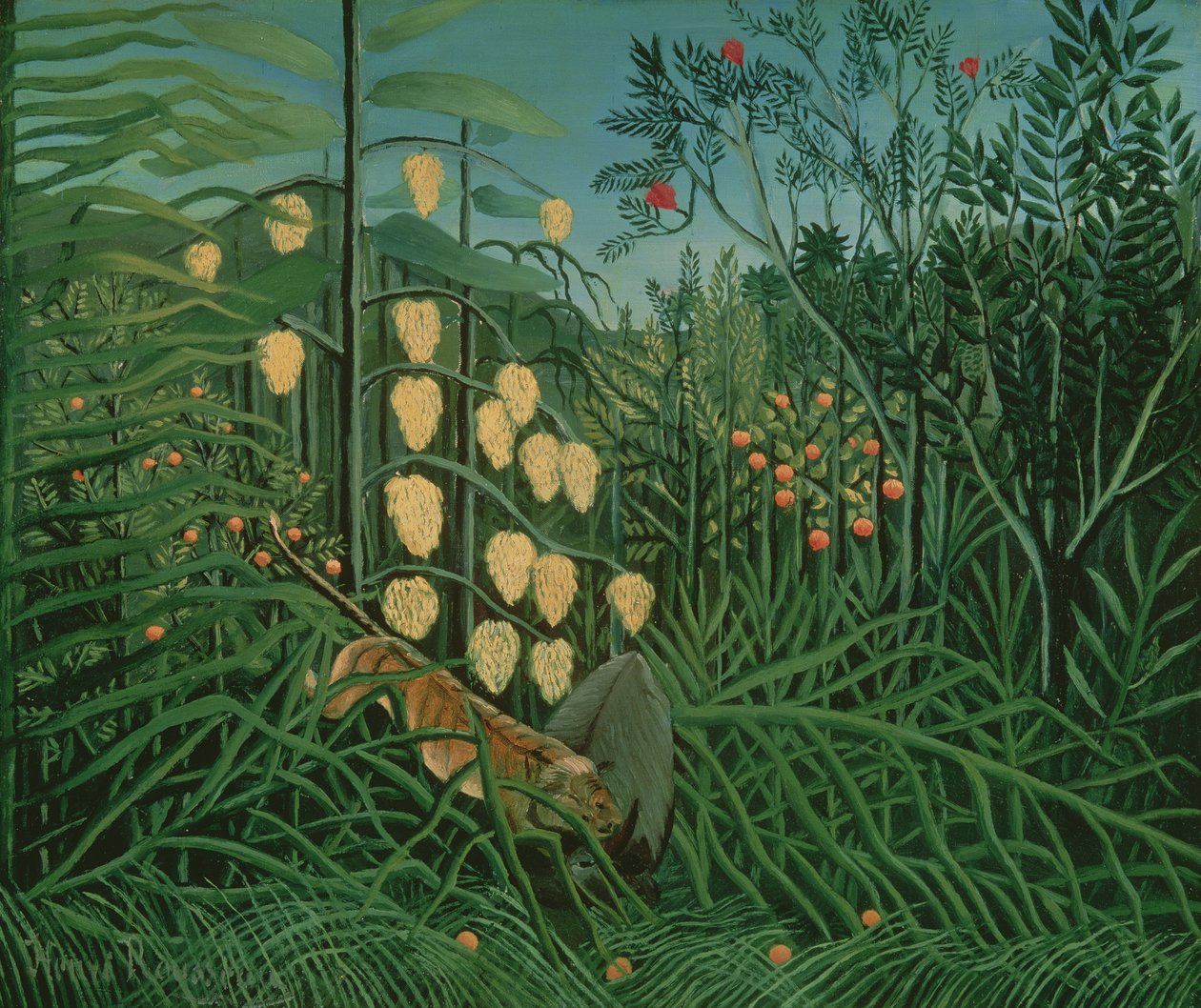 Tropical Forest: Battling Tiger and Buffalo, 1908 swed av Henri Rousseau