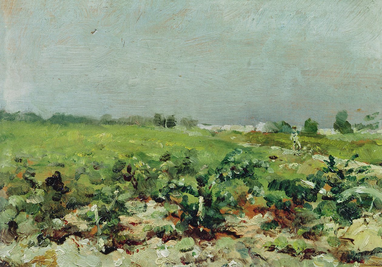 Celeyran, Utsikt över vingården, 1880 av Henri de Toulouse Lautrec