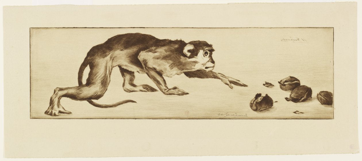 Monkey and Chestnuts, 1800-talet (etsning och roulette) av Henri Charles Guérard