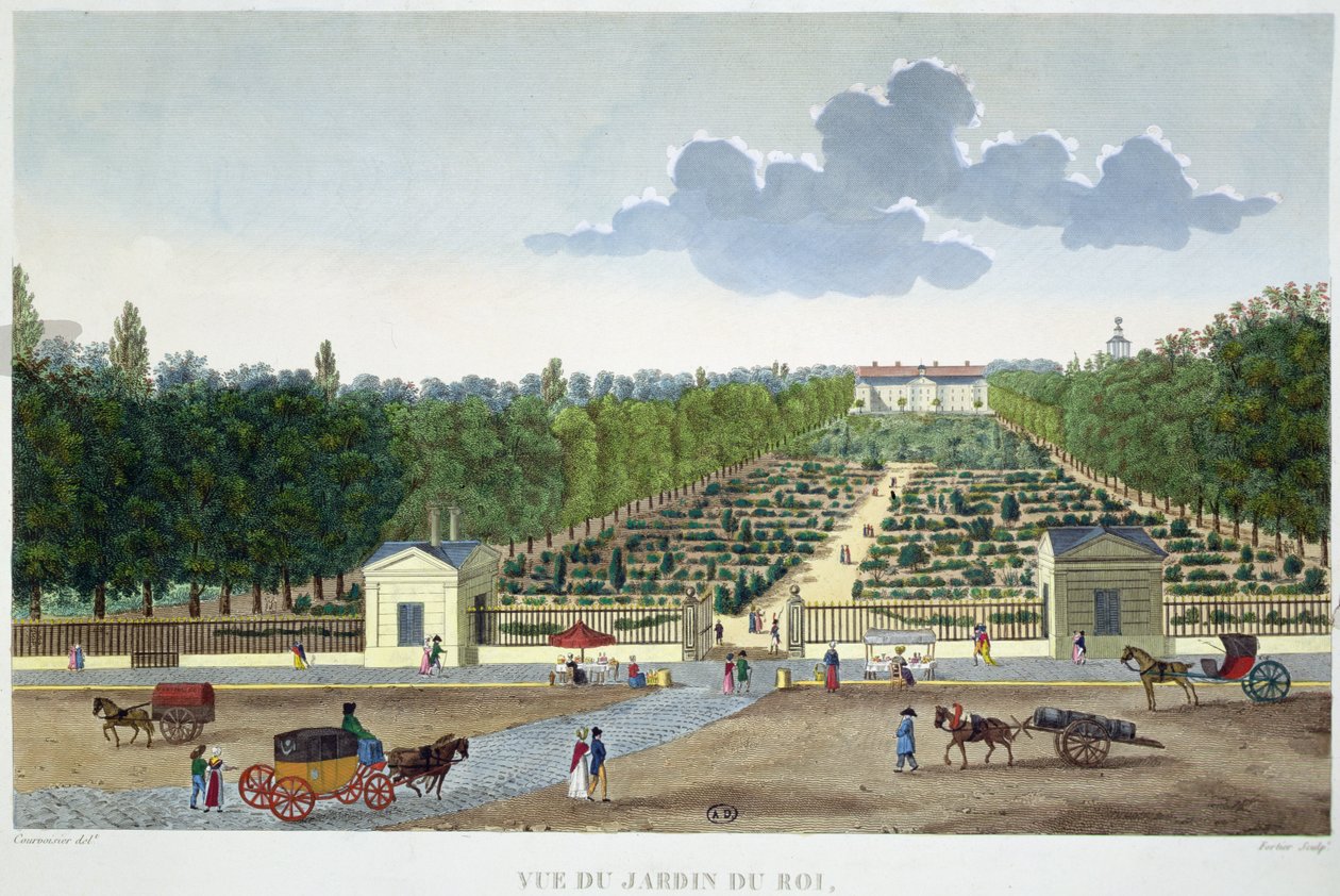 Utsikt över Jardin du Roi i Paris från bron Austerlitz, graverad av Claude Fortier (1775-1835) (färgstick) av Henri (after) Courvoisier Voisin