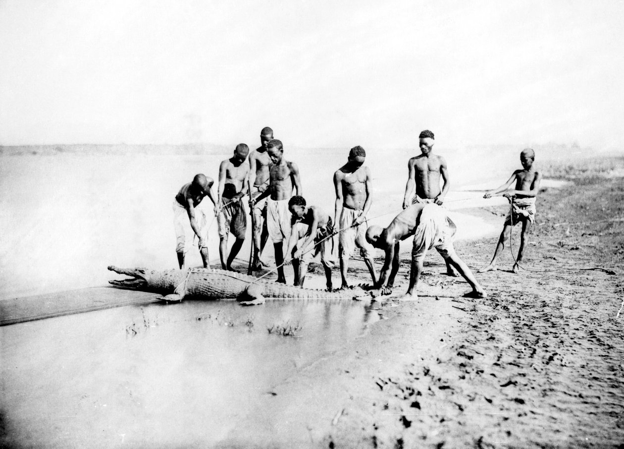 Jaga en krokodil, Nubia, Egypten, 1887 av Georges Henri Bechard