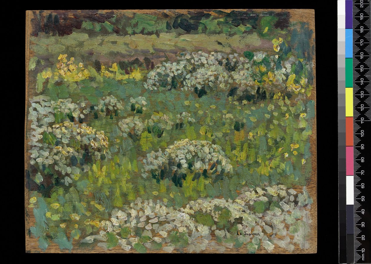 The Pond Garden, Hampton Court (olja på trä) av Henri Eugene Augustin Le Sidaner