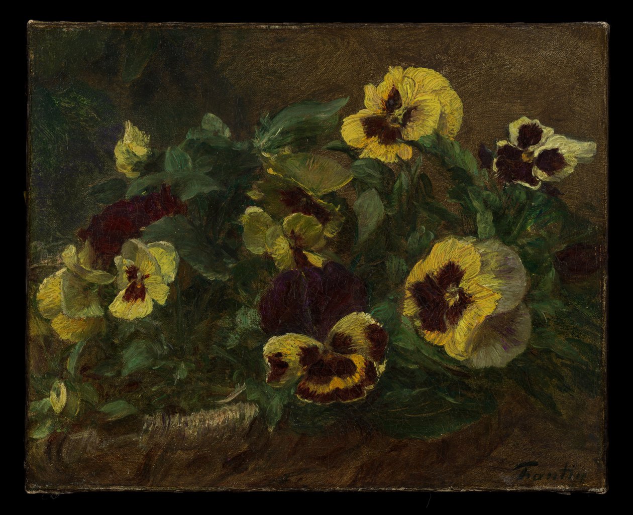 Pansies av Henri Fantin-Latour