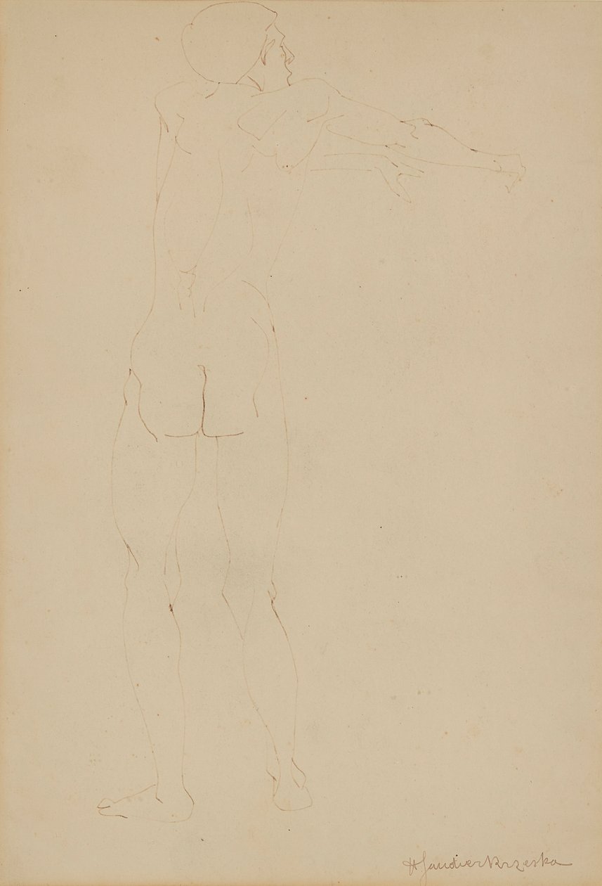 Naken man (penna på papper) av Henri Gaudier Brzeska