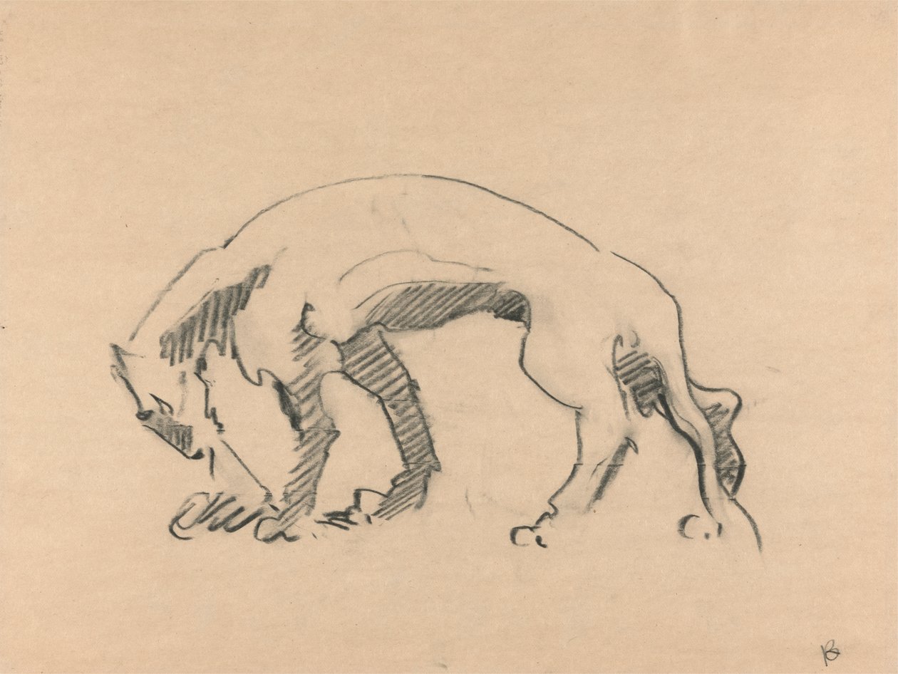 Lejoninna i profil av Henri Gaudier Brzeska
