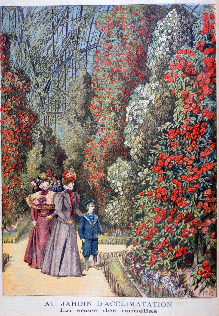 Kamelias växthus, zoologiska trädgårdar, Paris, 1897 av Henri Meyer