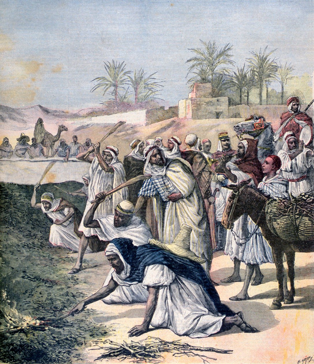 Gräshoppeplagen, Algeriet, 1891 av Henri Meyer