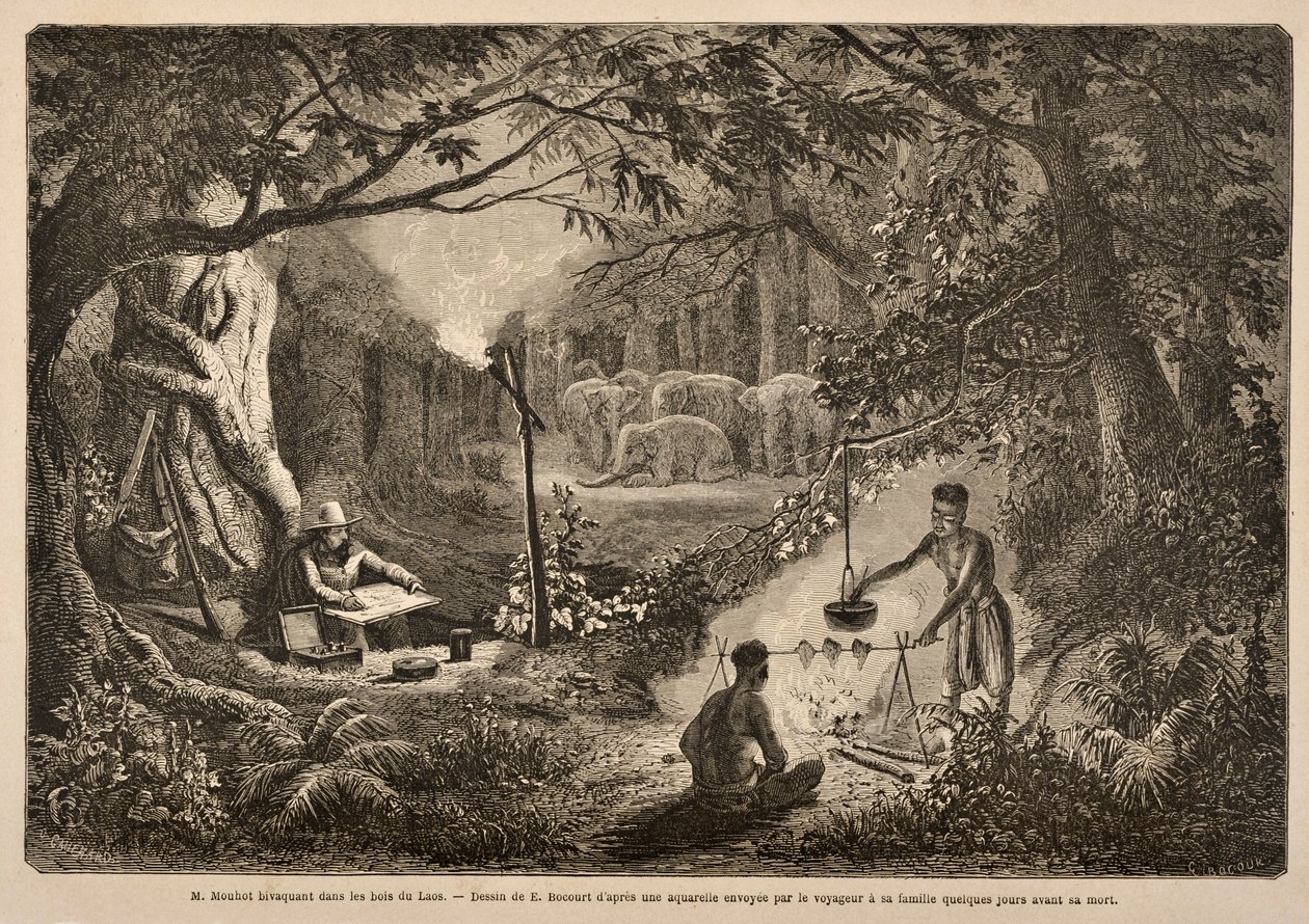Henri Mouhot Camping i Laos djungler, illustration från 
