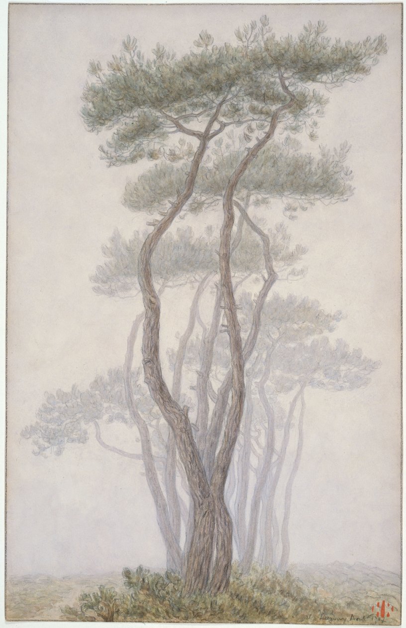 Loguivy, träd av Henri Rivière