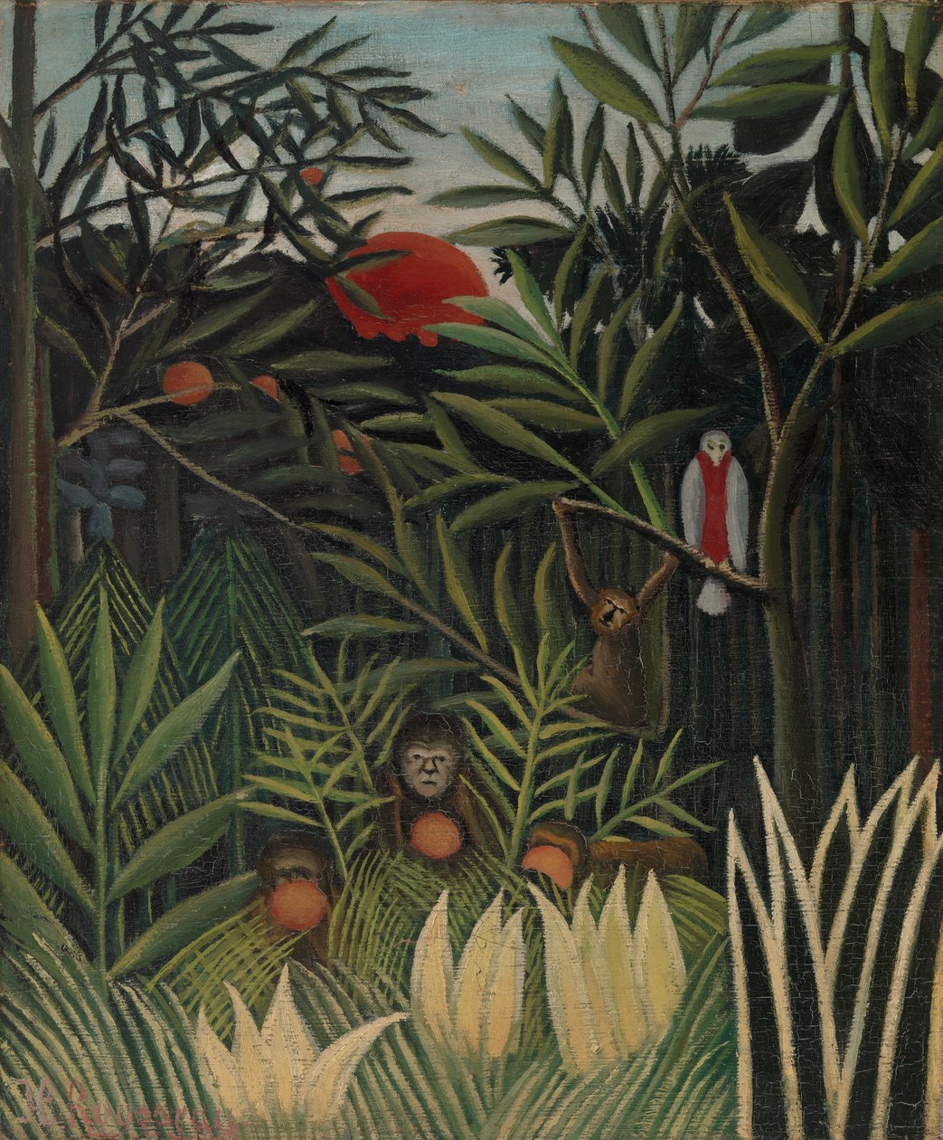 Apor och papegoja i Jungfruskogen av Henri Rousseau
