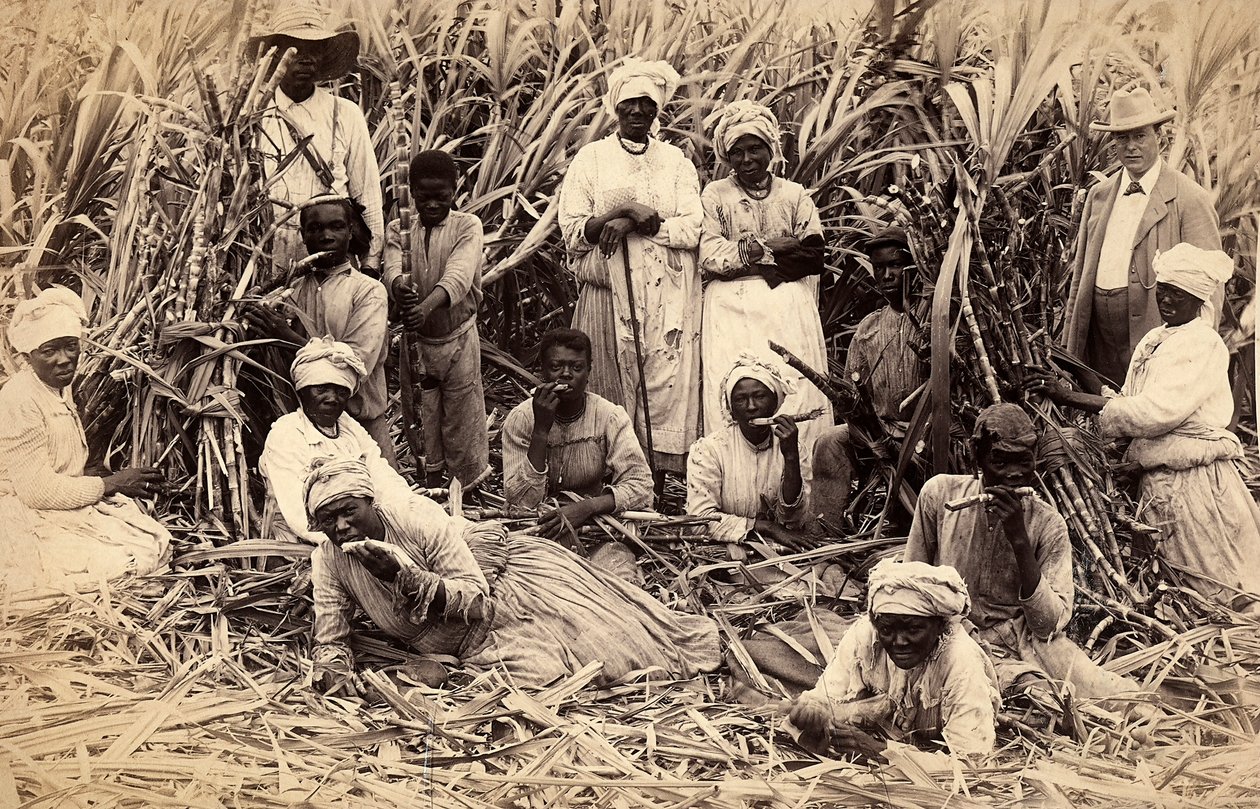 Sockerrörsskärare, Jamaica av Henri S. Duperly