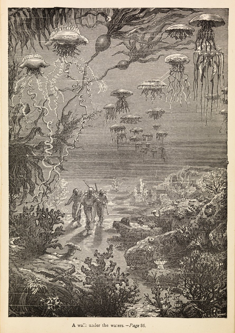 "En promenad under vattenytan" ur "20 000 Leagues Under The Sea", ca 1870 (gravyr) av Henri Theophile Hildibrand