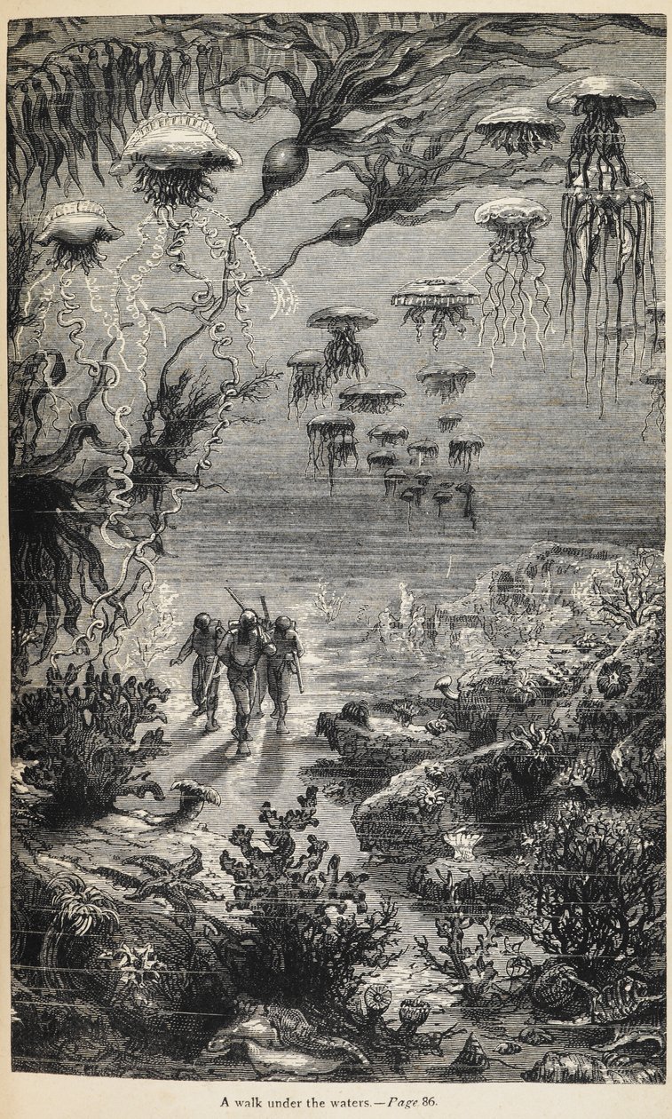 Illustration för 